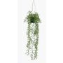 Suspension artificielle avec senecio BOLTEN, vert, 70cm