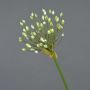 Allium ornemental artificiel KATYNA, crème, 70cm