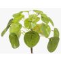 Plante du missionnaire artificielle SYBIL, à planter, vert, 13cm
