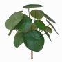 Plante du missionnaire artificielle SYBIL, à planter, vert, 20cm