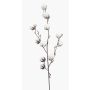 Branche de coton décorative CASAS, en fleurs, vert, 85cm