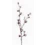Branche de coton artificiel EYCK, en fleurs, vert, 95cm