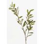 Branche artificielle d'olivier PARKER avec fruits, 80cm