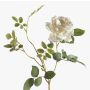 Rose artificielle BEATA, crème, 75cm