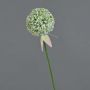 Fausse fleur Allium DURBAN, blanc, 70cm