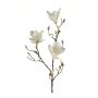 Branche artificielle de magnolia MALVAO, crème, 90cm