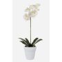 Orchidée artificielle Phalaenopsis ISIS, pot en céramique, blanc, 55 cm