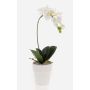 Orchidée artificielle Phalaenopsis ISIS, pot en céramique, blanc, 40 cm