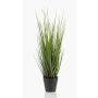 Herbe décorative OTIS avec panicules, vert, 55cm