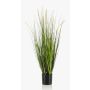 Herbe décorative OTIS avec panicules, vert, 90cm