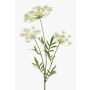 Branche décorative d'Aneth HAKIM avec fleurs, blanc, 80cm