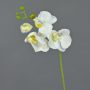 Orchidée Phalaenopsis artificielle MINA, blanc, 55cm