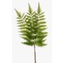 Branche artificielle de Fougère épée HALIMA, vert, 60cm