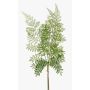 Branche artificielle de Fougère bouclier HALIMA, vert, 60cm