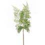 Branche artificielle de Fougère bouclier HALIMA, vert, 60cm
