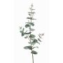 Branche décorative d'Eucalyptus CALLIOPE, vert-gris, 70cm