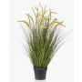 Graminée décorative CAREL avec panicules, vert, 100cm