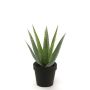 Plante artificielle Aloe Variegata MARTINEZ, vert, 25cm, Ø17cm