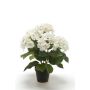 Hortensia décoratif JONE, crème, 40cm