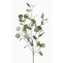 Branche d'eucalyptus décorative COLTON, vert-gris, 85cm