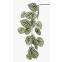 Branche artificielle de bégonia rex MEIRA, vert-gris, 110cm