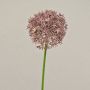 Fausse fleur Allium ARNAU, rose, 60cm