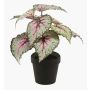 Plante artificielle Bégonia rex MEIRA, vert-rose, 25cm