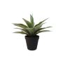 Succulente artificielle Agave DESIREE, vert, 20cm, Ø25cm