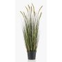 Herbe décorative ANAELLA avec panicules, vert, 90cm