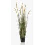 Herbe décorative ANAELLA avec panicules, vert, 120cm