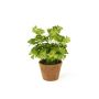 Plante artificielle trèfle NICCOLO dans un pot décoratif, vert, 25cm