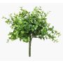 Eucalyptus décoratif JOSHUA à planter, vert, 20cm, Ø17cm