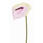 Fleur de flamant rose artificielle MOIRA, crème-rose, 75cm, 13x18cm