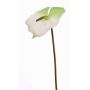 Fleur de flamant rose artificielle MOIRA, blanc-vert, 75cm, 13x18cm