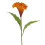 Fleur artificielle « crête de coq » ANUBIS, orange, 60 cm, Ø 14 cm