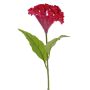 Fleur artificielle en forme de crête de coq ANUBIS, violet-rouge, 60 cm, Ø 14 cm