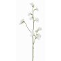 Branche de fleurs artificielles Lathyrus ASFALOTH, blanche, 65cm, Ø3-5cm