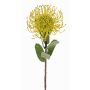 Coussin à épingles artificiel Protea BAILY, jaune-vert, 55 cm, Ø 10 cm