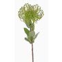 Coussin à épingles artificiel Protea BAILY, vert, 55 cm, Ø 10 cm