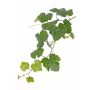 Branche de vigne artificielle BJON, crossdoor, verte, 60cm