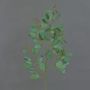 Branche d'eucalyptus artificielle COBAR avec fleurs, crossdoor, verte, 65 cm, Ø 1,5 cm