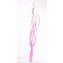 Branches de Mitsumata GERY, 3 pièces, rose, 105cm
