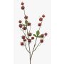 Branche décorative de rosier tubéreux BREVON avec des cynorrhodons, rouge, 80 cm