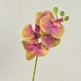 Branche d'orchidée Phalaenopsis artificielle OPHELIA, rose-vert, 40 cm, Ø 7-8 cm