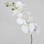 Branche d'orchidée Phalaenopsis artificielle OPHELIA, blanche, 80cm, Ø8-9cm