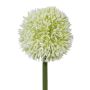 Fleur artificielle Allium MENKES, blanc, 65cm