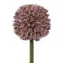 Fleur artificielle Allium MENKES, lilas, 65cm