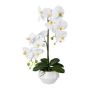 Orchidée Phalaenopsis artificielle KASDA, pot en céramique, racines, blanc, 50cm