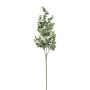 Branche décorative Eucalyptus BROFTE, gris-vert, 70cm