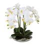 Orchidée Phalaenopsis artificielle MANULO, coupe en céramique argentée, racines, blanc, 40cm